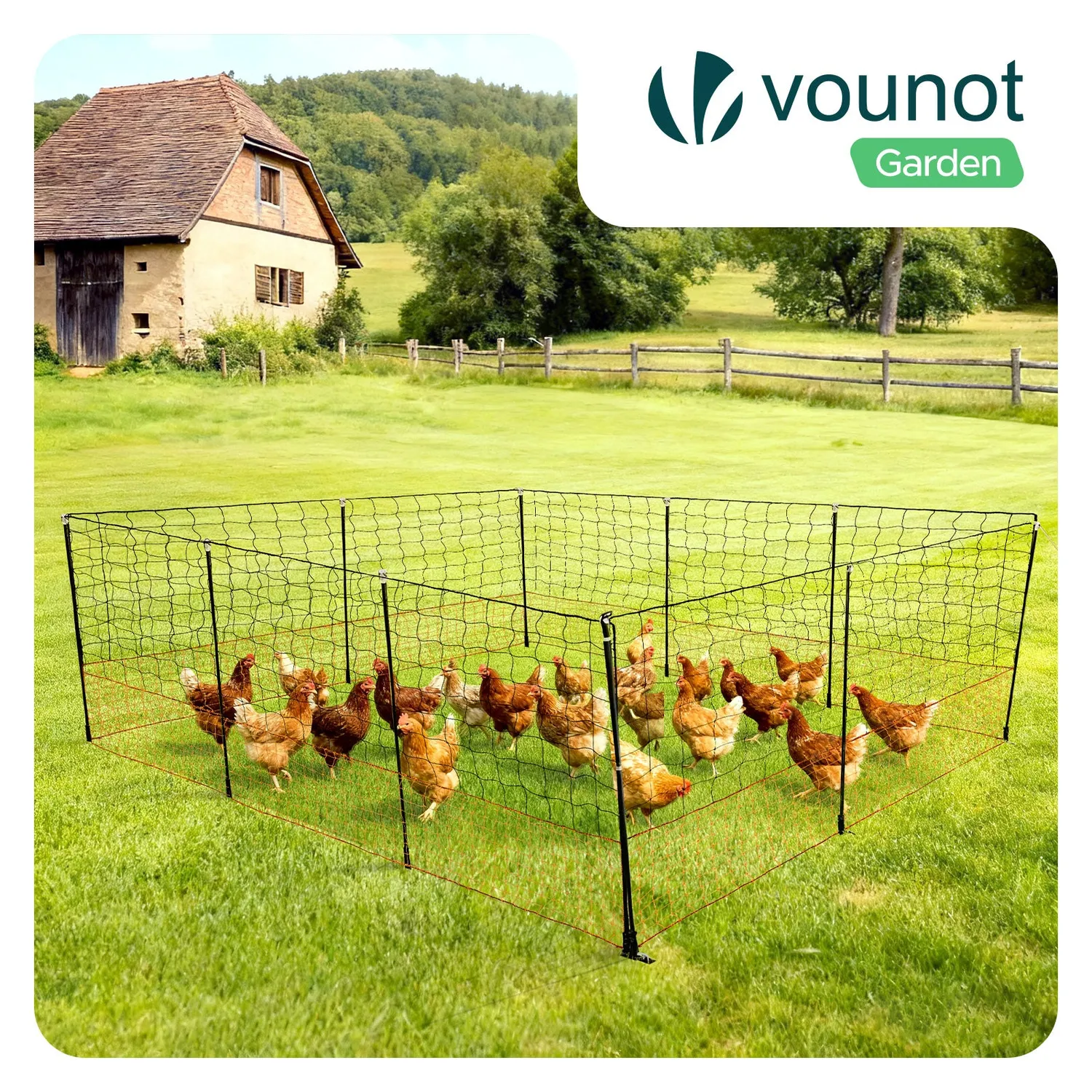 Vounot rete recinto polli PE con paletti 30 m arancione