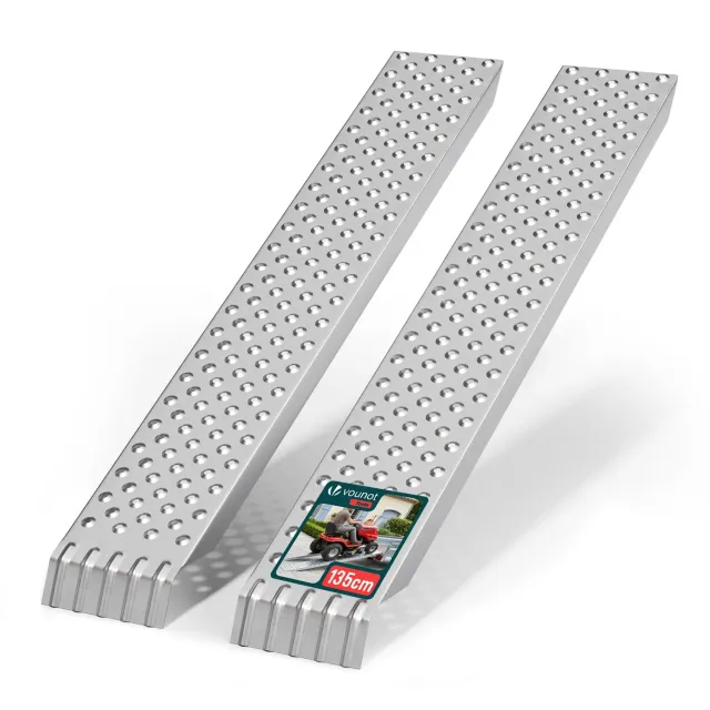 VOUNOT Rampe Carico Acciaio Zincato 135cm 400kg 2 Pezzi