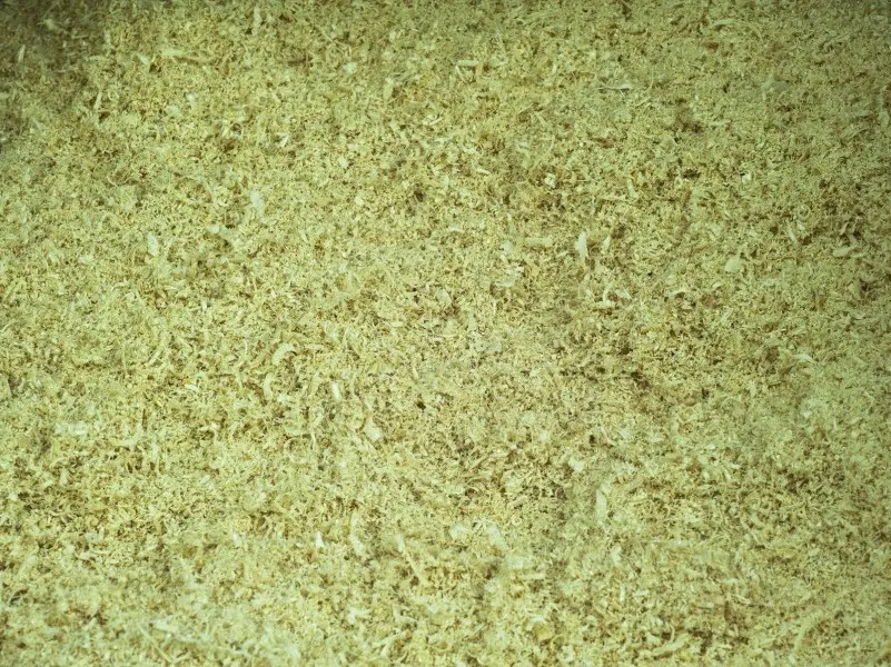 La Pratolina segatura abete pulizia 10 scatole 50 litri
