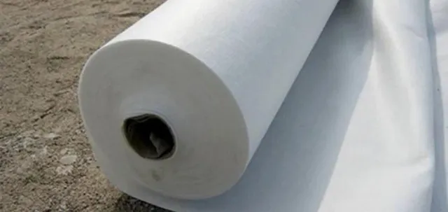 Progetto Esterno Geotessuti telo drenante antierosione