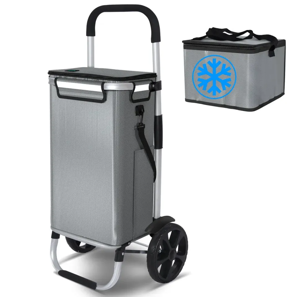 VOUNOT carrello spesa pieghevole alluminio grigio 58L isotermico
