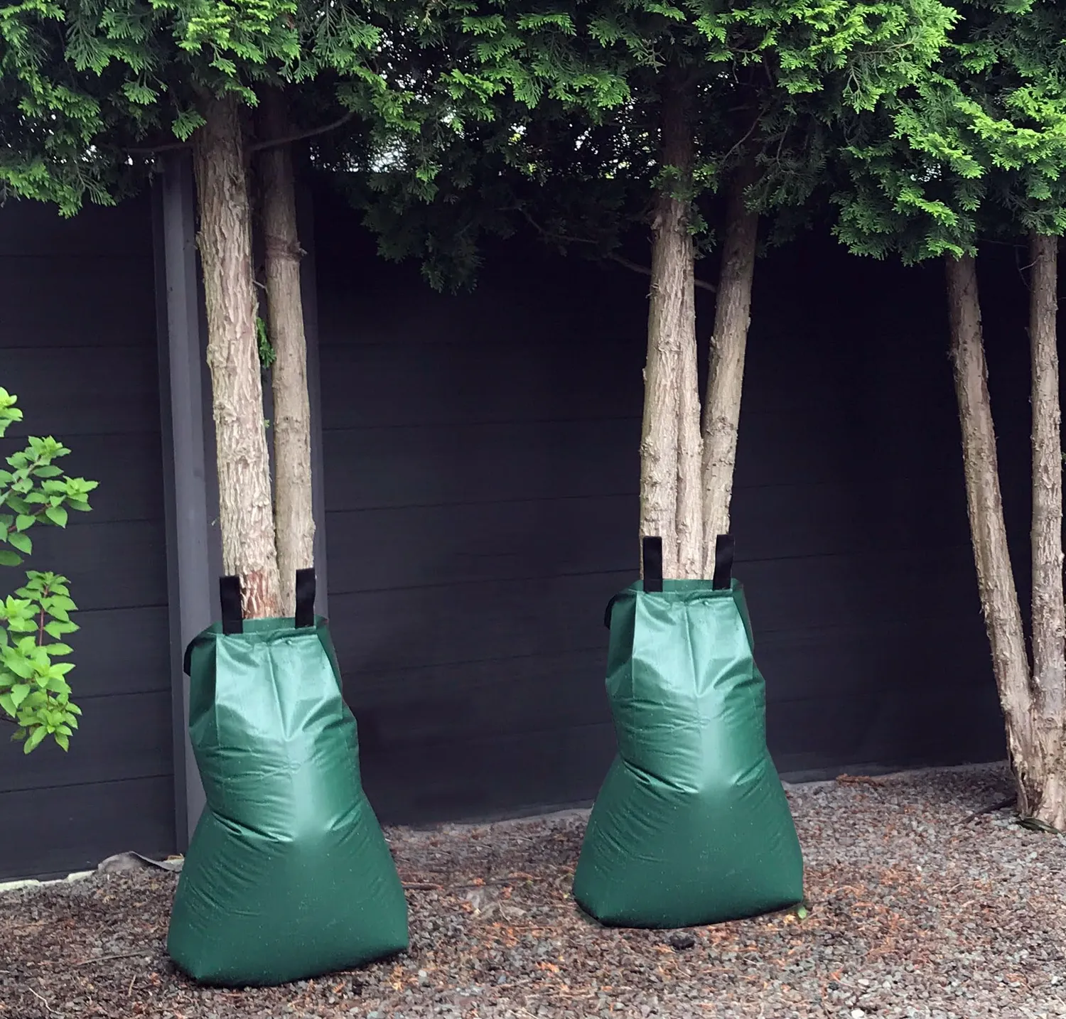 QUICK STAR Sacco Irrigazione Alberi 75L 12 Pezzi
