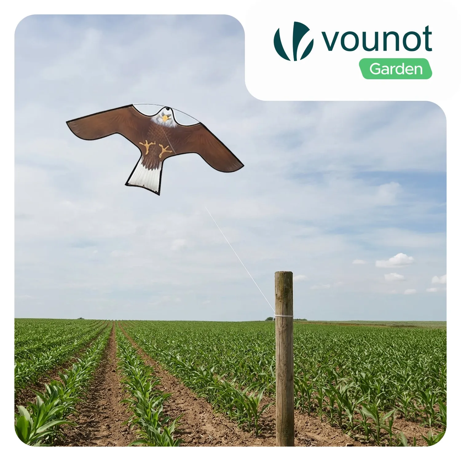 VOUNOT Aquilone spaventapasseri falco B senza palo 140x70cm