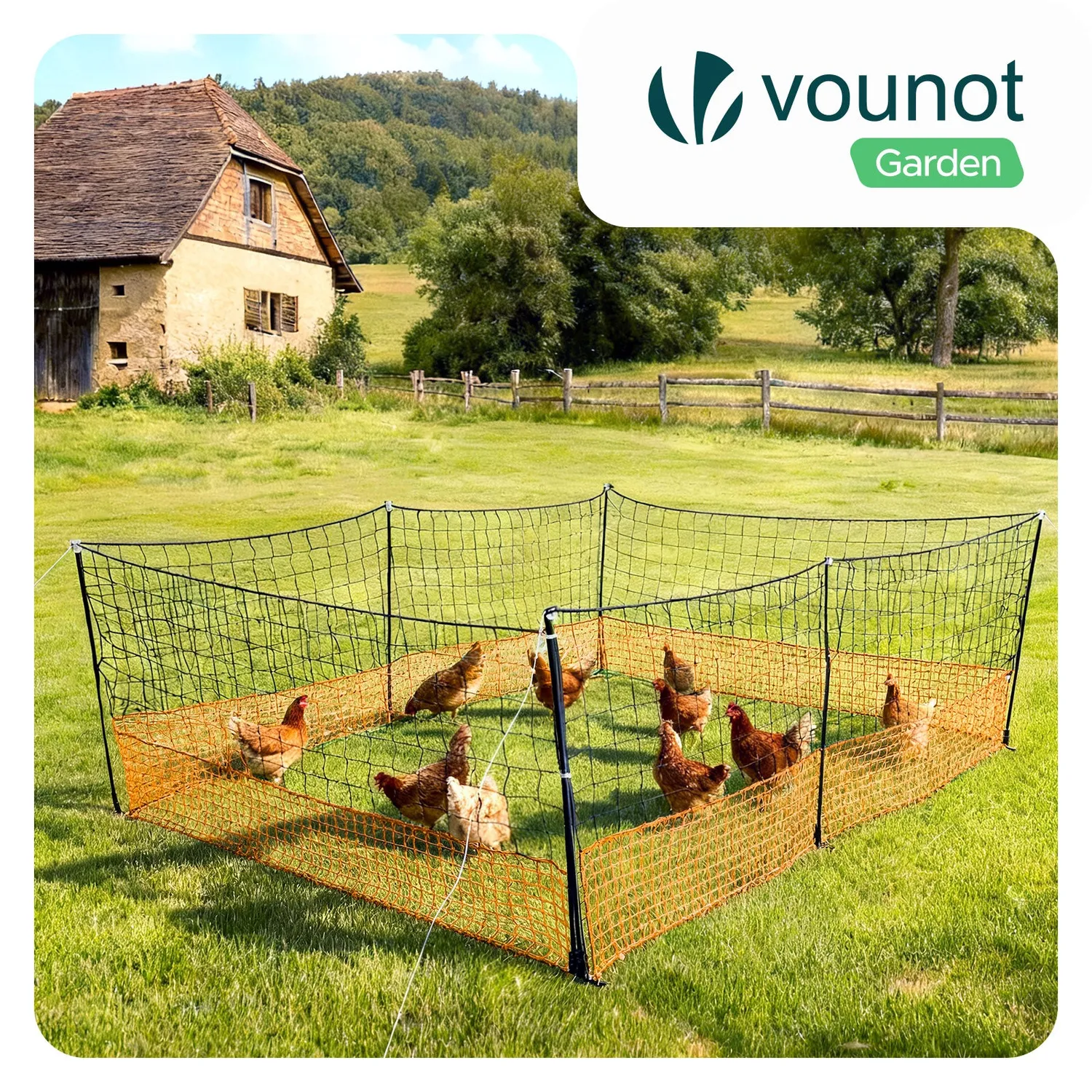VOUNOT Rete Pollaio 12M Arancione con Picchetti