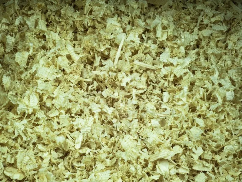 La Pratolina segatura abete 10 scatole truciolo naturale