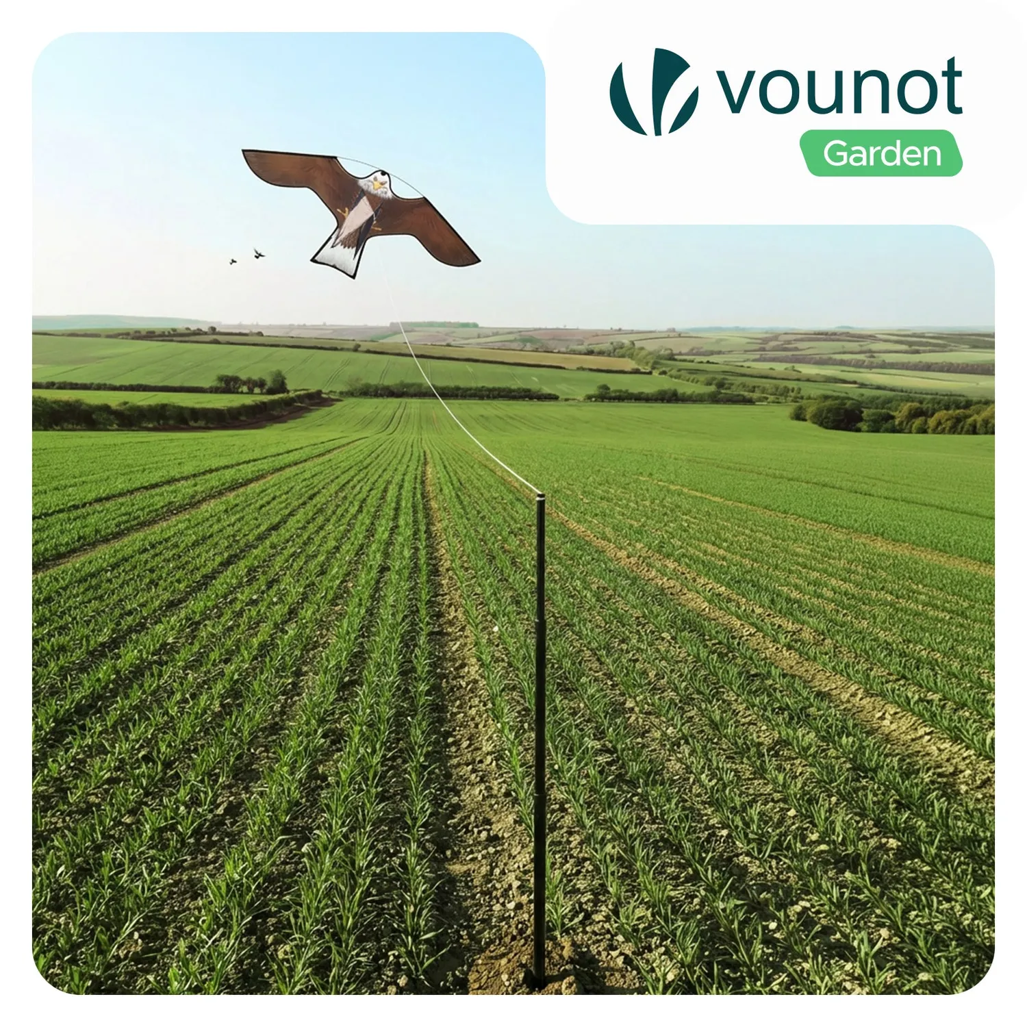 VOUNOT Falco B aquilone scaccia piccioni con palo 4 m