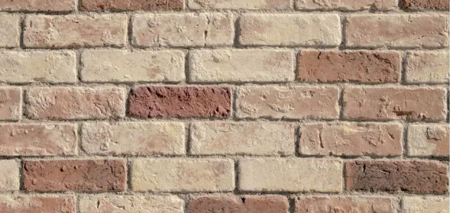 Progetto Esterno Rustico rivestimento in pietra da esterni