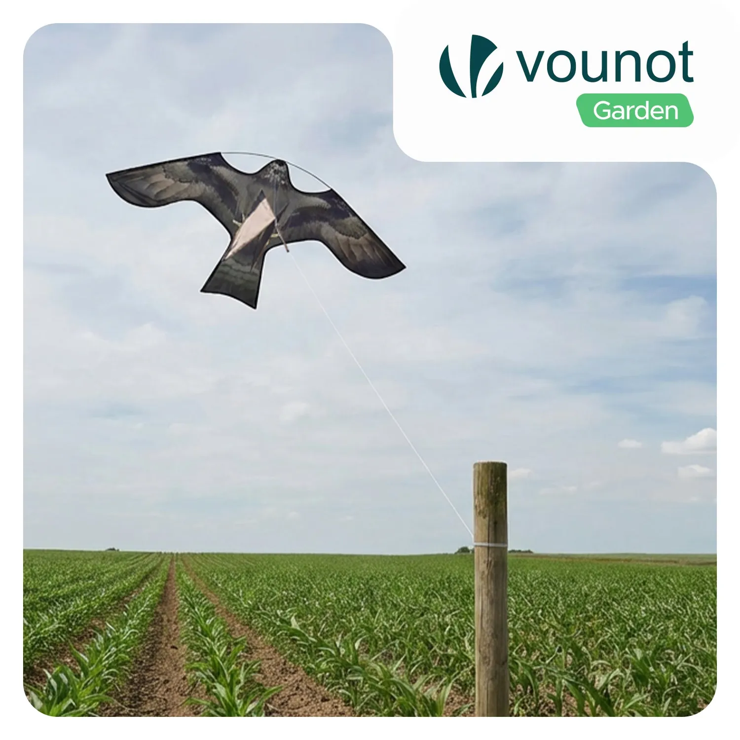 Vounot Falco F aquilone scaccia piccioni 140x70 senza palo