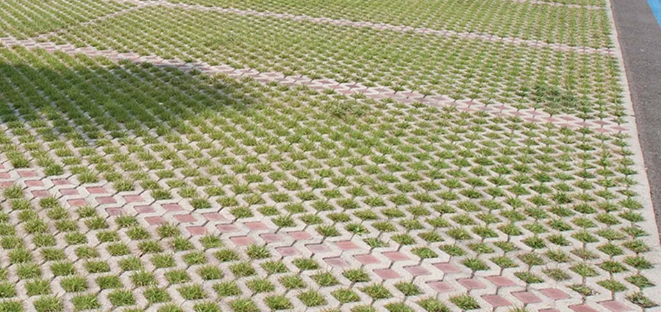 Progetto Esterno Grigliato Erboso massello prato carrabile