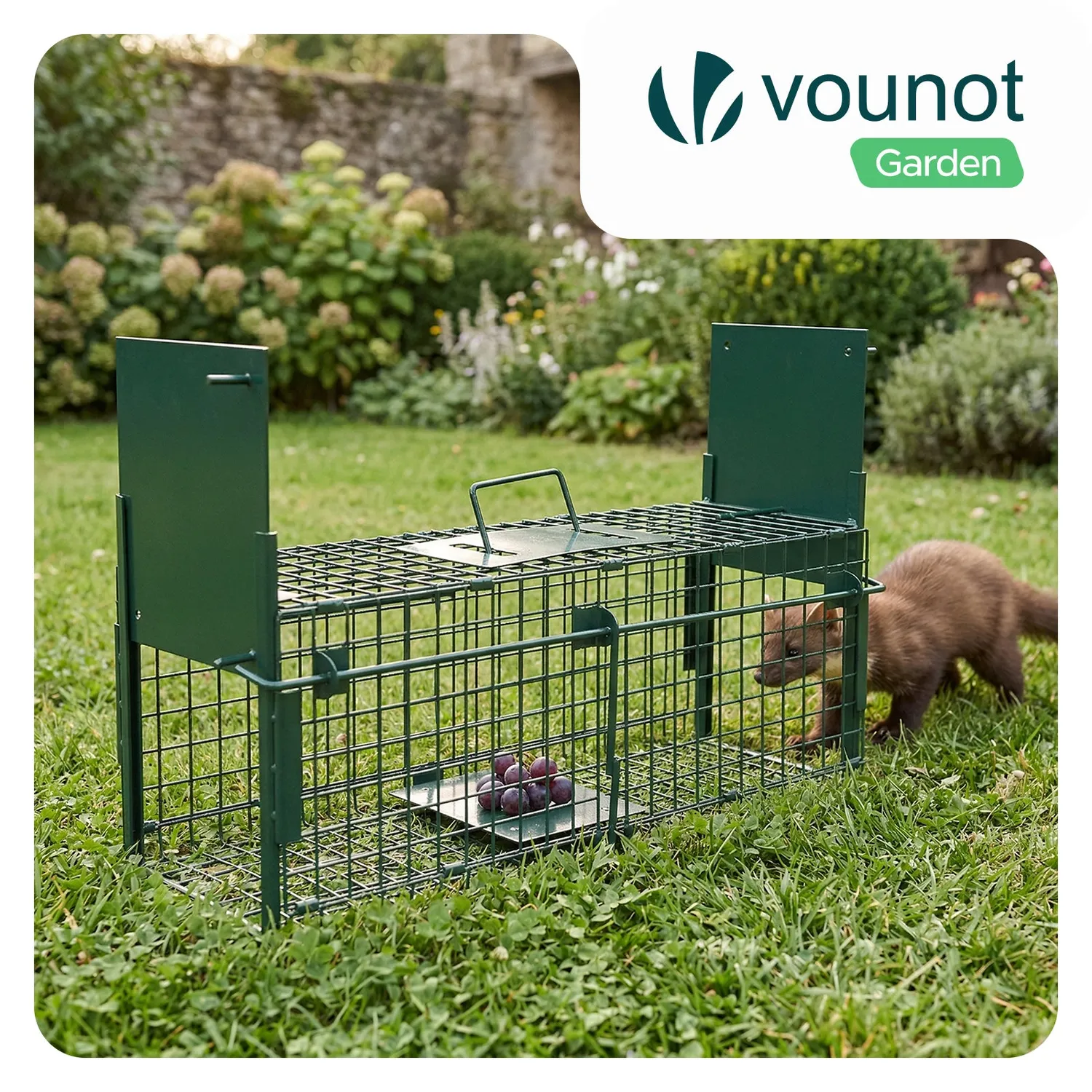 Vounot trappola animali vivi gabbia metallo verde 60x18 cm