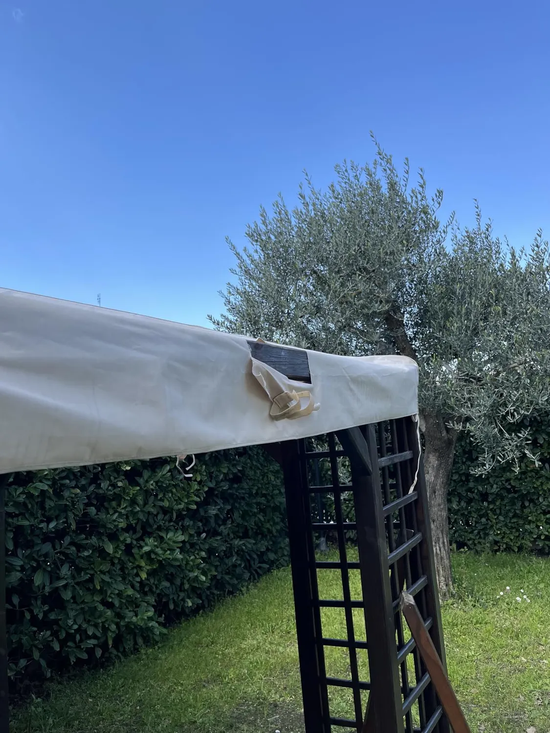 QUICK STAR Telo Ricambio Gazebo 3x3 Beige PVC