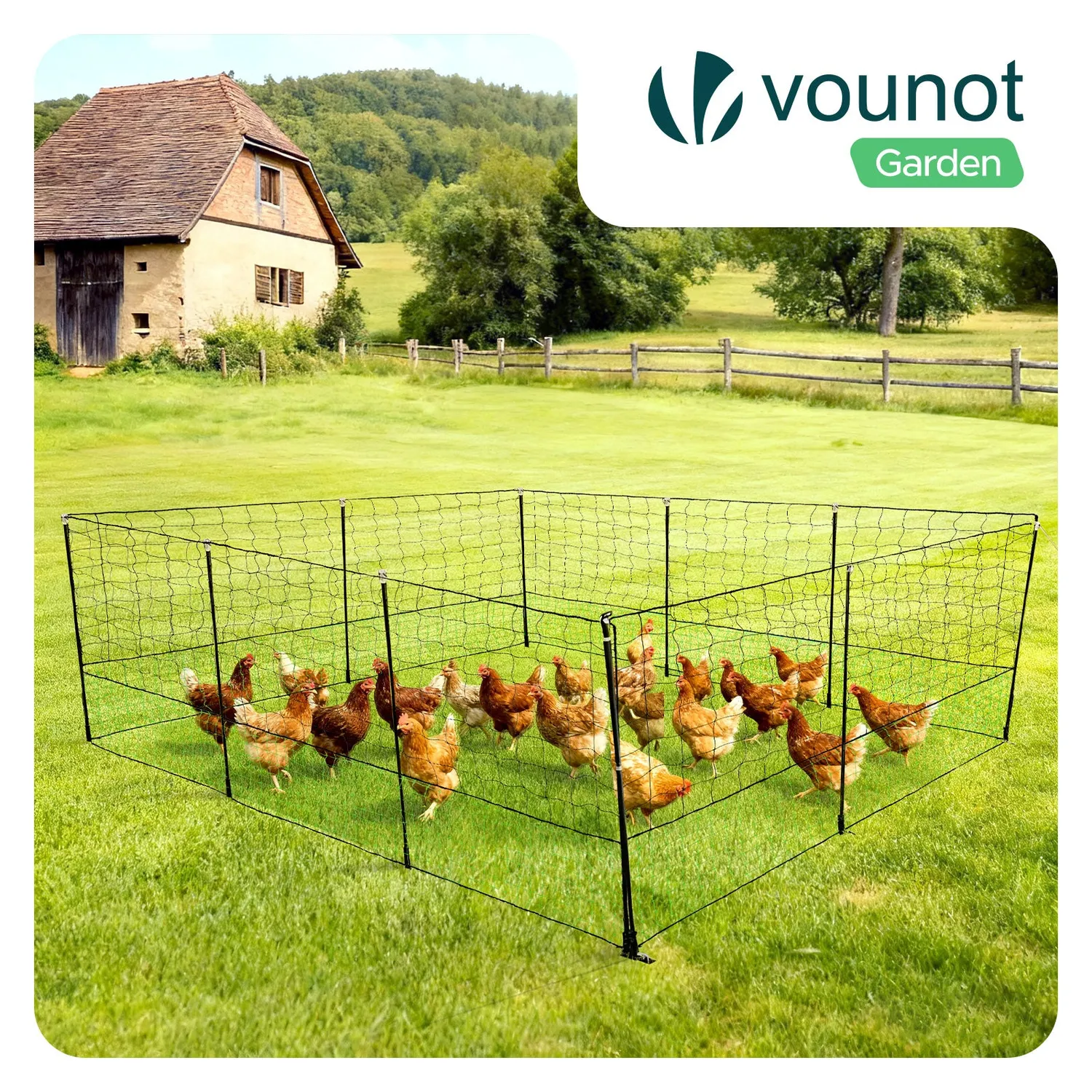 VOUNOT rete per polli verde 30 m con picchetti