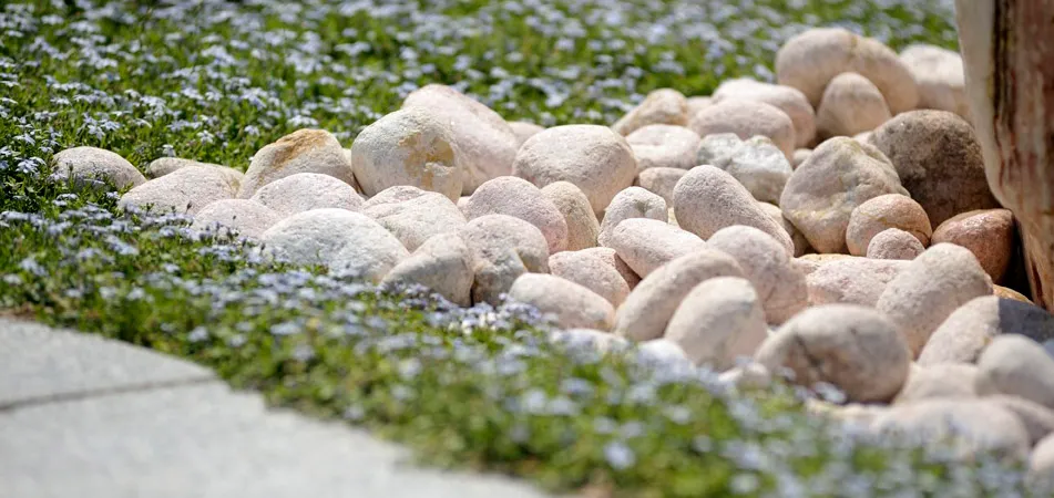 Progetto Esterno Ciottoli Naturali sasso fiume