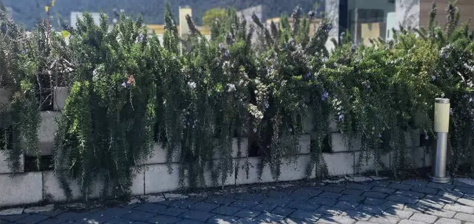 Progetto Esterno Green Block blocco per muretti e aiuole