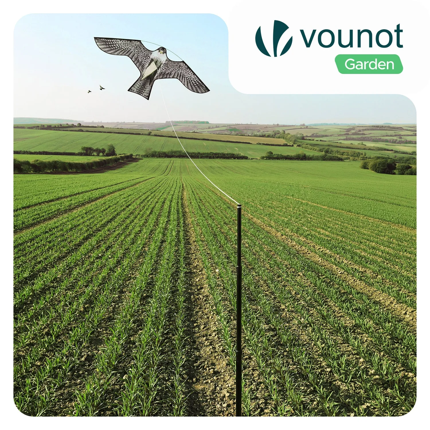 Vounot aquilone spaventapasseri falco 140cm 2 pezzi