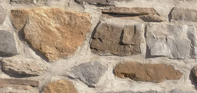 Progetto Esterno Misto Alpino rivestimento pietra